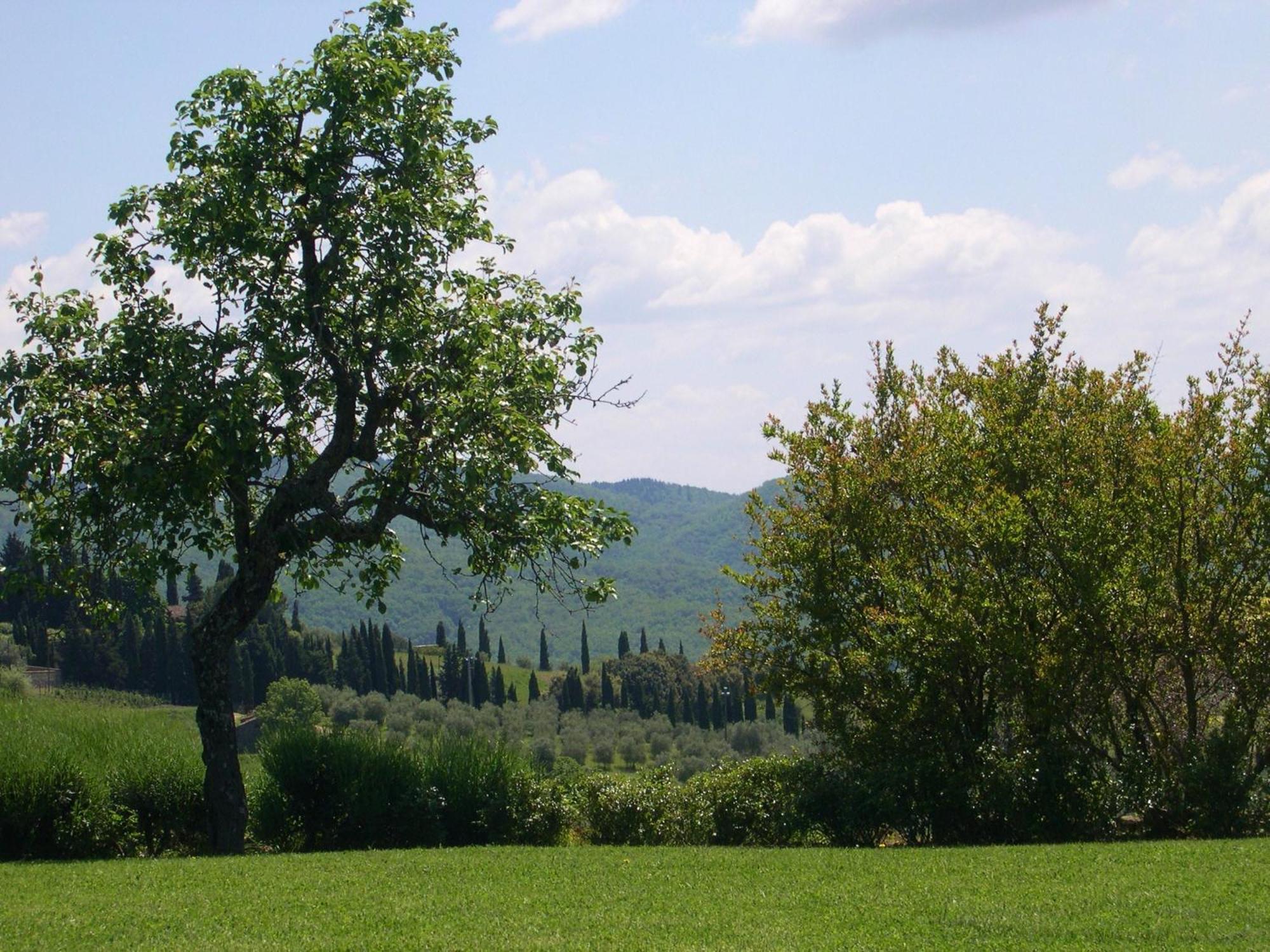 La Locanda Volpaia Radda in Chianti Bagian luar foto