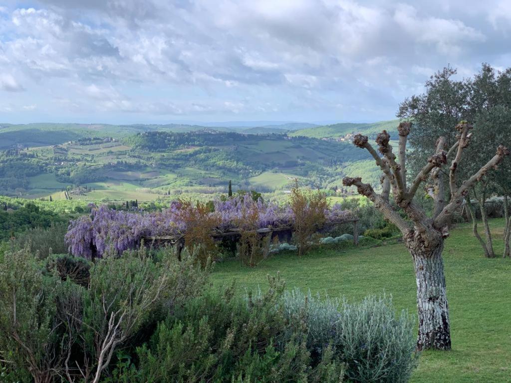 La Locanda Volpaia Radda in Chianti Bagian luar foto